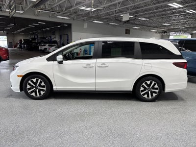 2025 Honda Odyssey EX-L